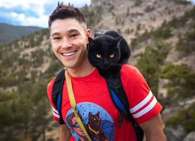Adventurous Cat And His Owner Travel The US Together