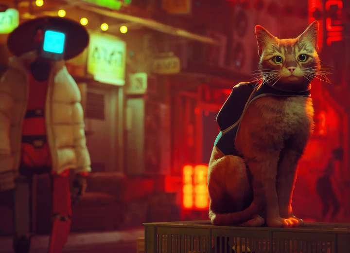 Stray The New Video Game Where You Play As A Stray Cat