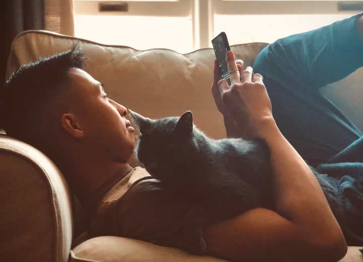 Top 5 Must Have Apps For Cat Parents