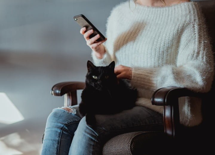Meowtalk: The New Application To Understand Your Cat