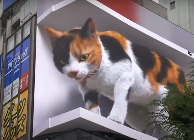 Giant 3D Cat On A Tokyo Billboard