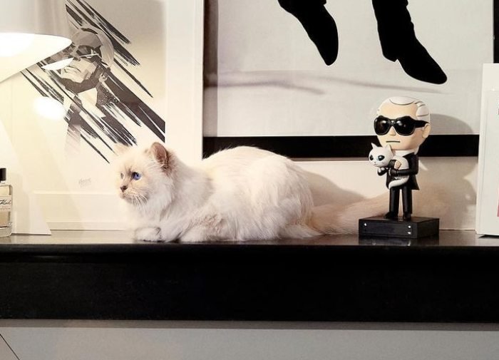 What Happened To Choupette Lagerfeld's Beloved Cat