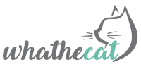 Whathecat Blog Logo