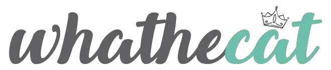whathecat logo
