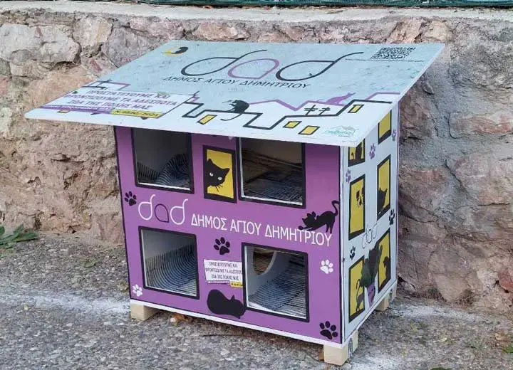 Cozy Homes For Stray Cats In Athens